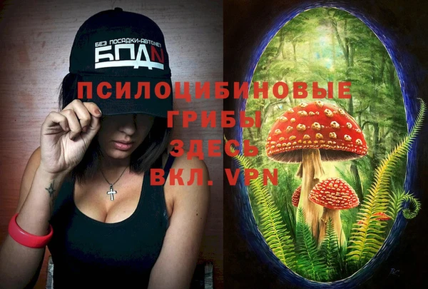марки lsd Балабаново