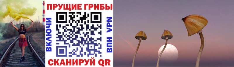hydra зеркало  Горно-Алтайск  Галлюциногенные грибы мицелий 